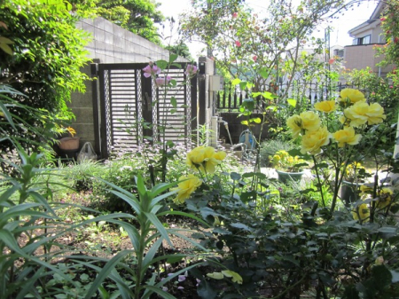 庭　居室から見える庭は、四季の移ろいも感じられる贅沢な環境です。