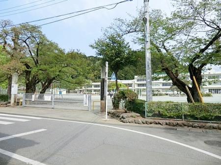 ӊ@ywZzsܓswZF332m