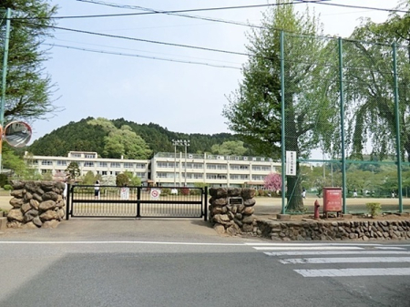 ӊ@ywZzsܓswZF244m