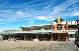 ӊ@yVbsO{݁zWF[\RXF1228m