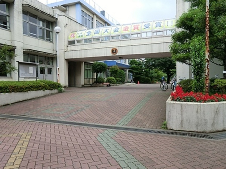 ӊ@ywZzHsHꒆwZF2276m